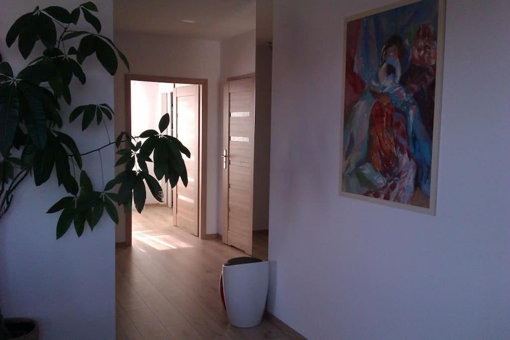 Peaceful Stay/Heart Of Gdansk/Unforgettable Екстер'єр фото